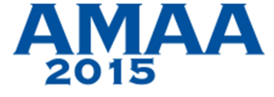 amaa 2015 SQUARE