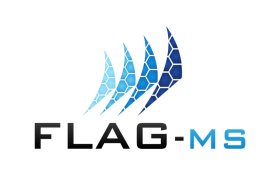 FLAG-MS S.r.l.